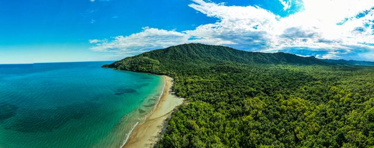 About Cape Tribulation