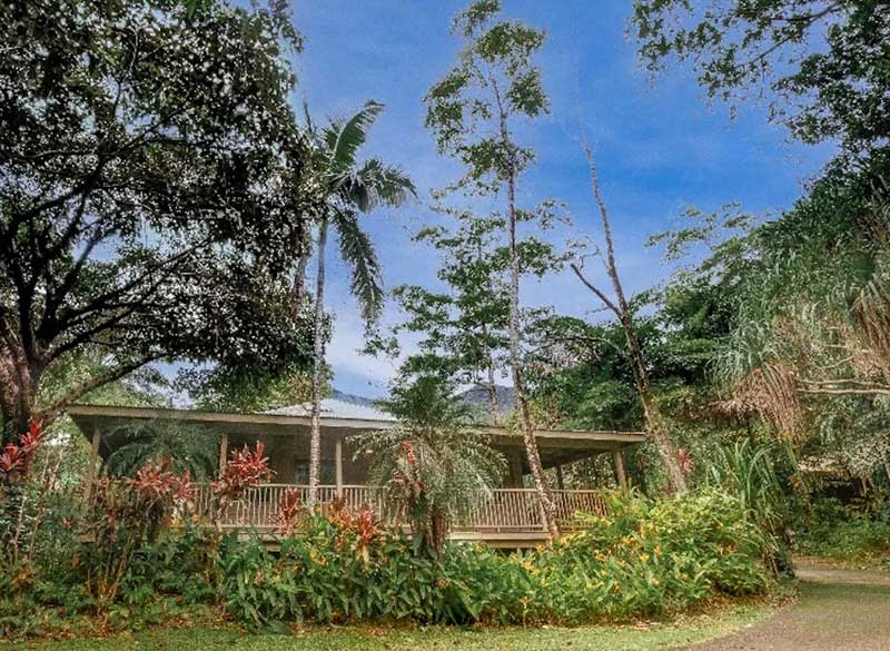 Budget Daintree Rainforest Accommodation