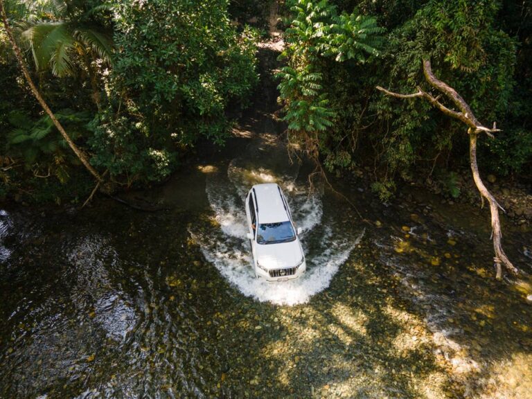 Daintree 4WD Tour