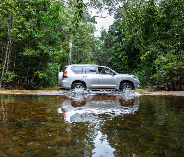 Daintree Rainforest 4wd tour