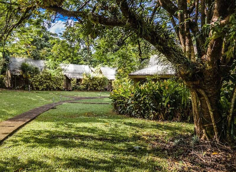 Daintree Rainforest Cabins