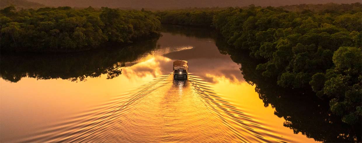 Daintree Rainforest Sunset