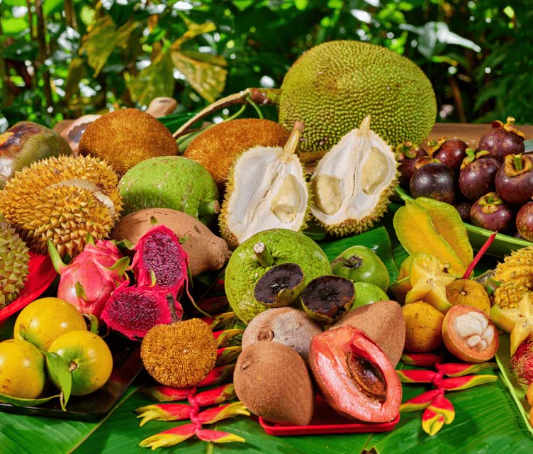 Exotic fruit tasting