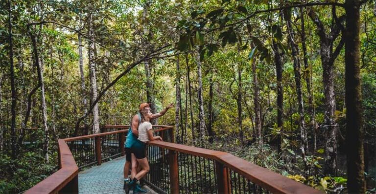 Exploring Daintree Rainforest