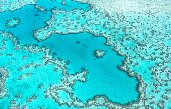 Visit the Great Barrier Reef
