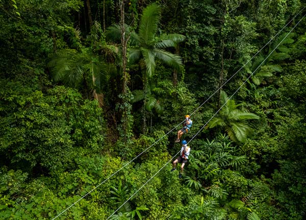 Zipline Tour Cape Trib