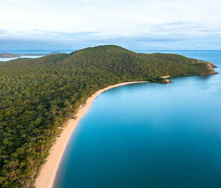 Daintree Private Tour