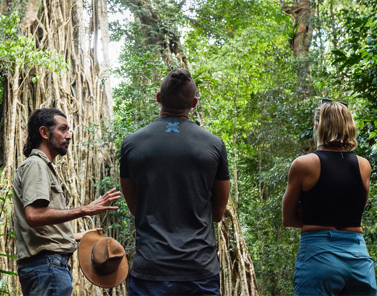 Daintree Tours