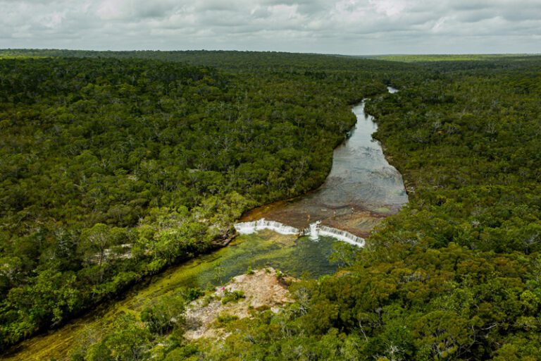 Fruit Bat Falls Cape York
