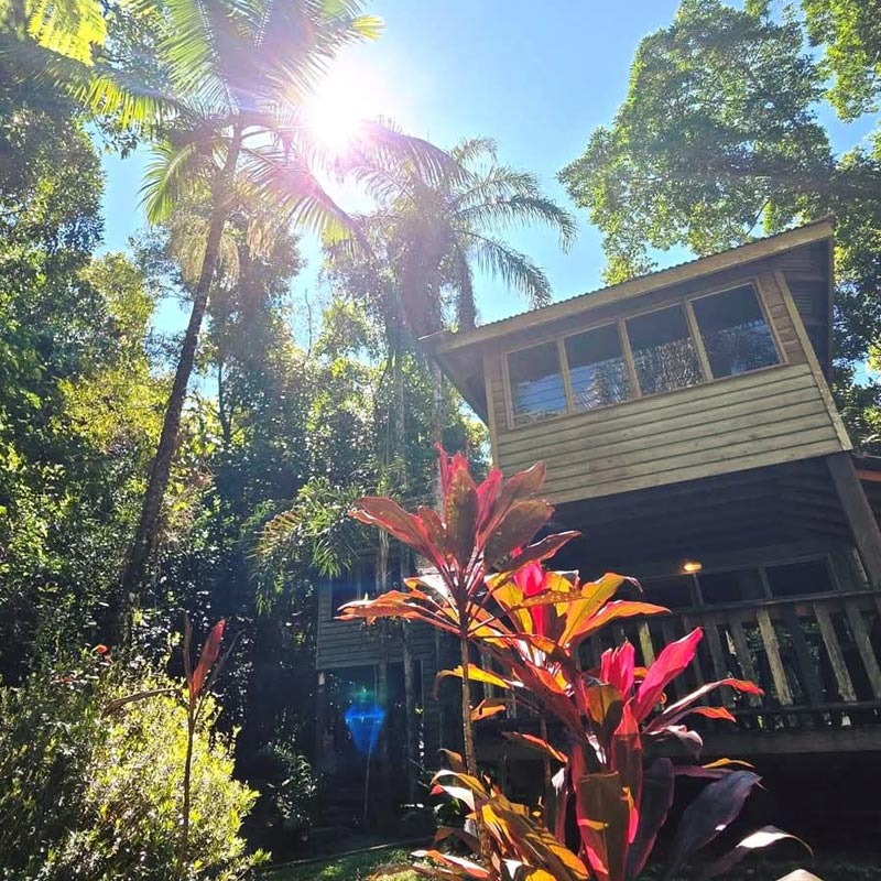 Cape Tribulation Treehouse Accommodation