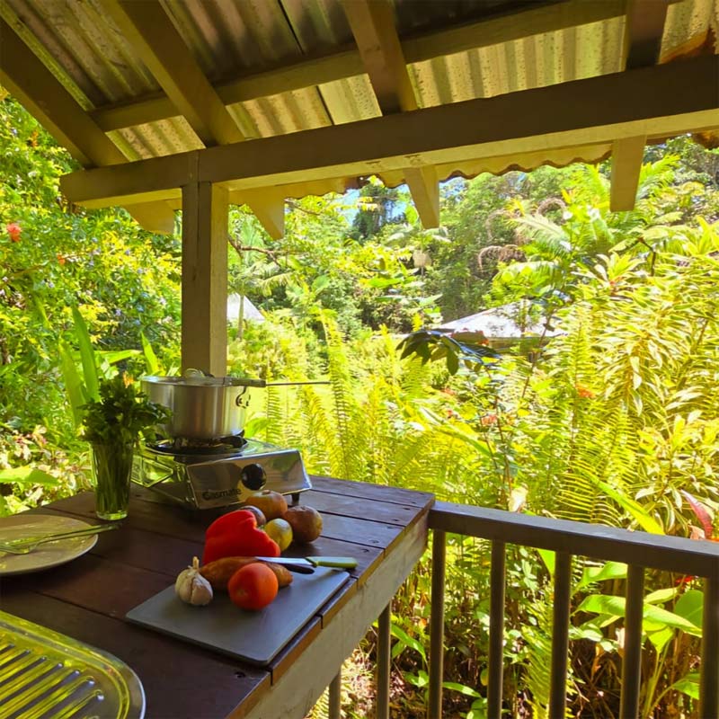 Self Contained Accommodation Cape Tribulation